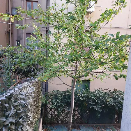 Il Ciliegio - Casa Apartamento Macerata